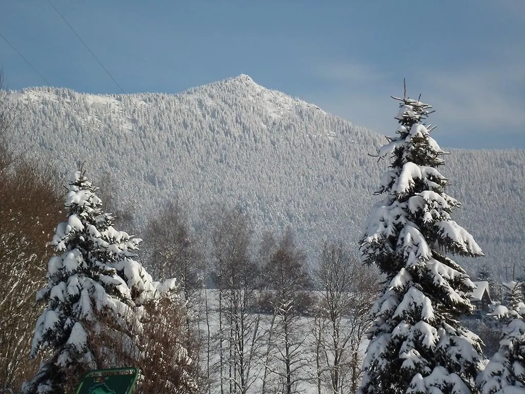 Appartementhaus Im Himmelreich Lam
